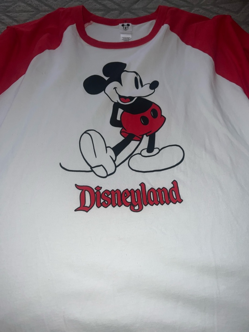Disney Vintage Inspired Shirt in 3x